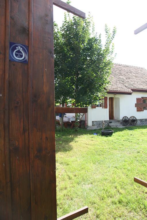 La Mosu Villa Porumbacu de Sus Dış mekan fotoğraf