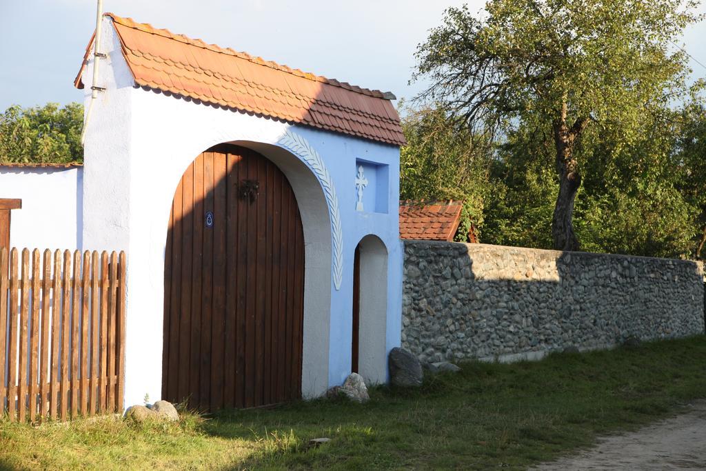 La Mosu Villa Porumbacu de Sus Dış mekan fotoğraf
