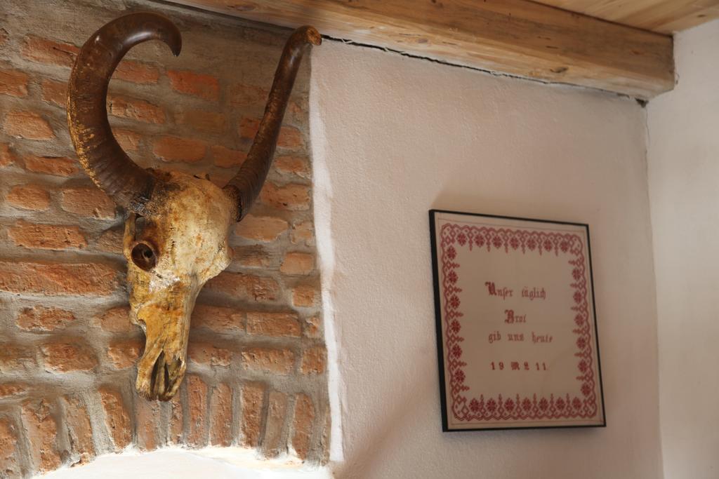 La Mosu Villa Porumbacu de Sus Dış mekan fotoğraf
