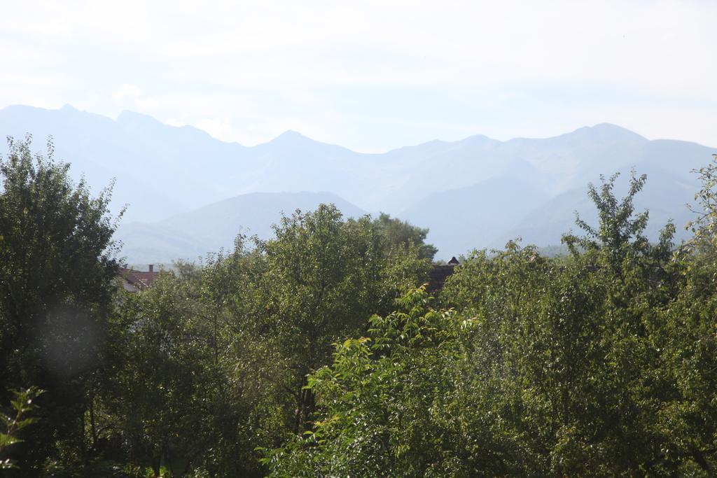 La Mosu Villa Porumbacu de Sus Dış mekan fotoğraf